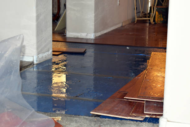 Professional Water Damage Restoration technician working in Granby, MA